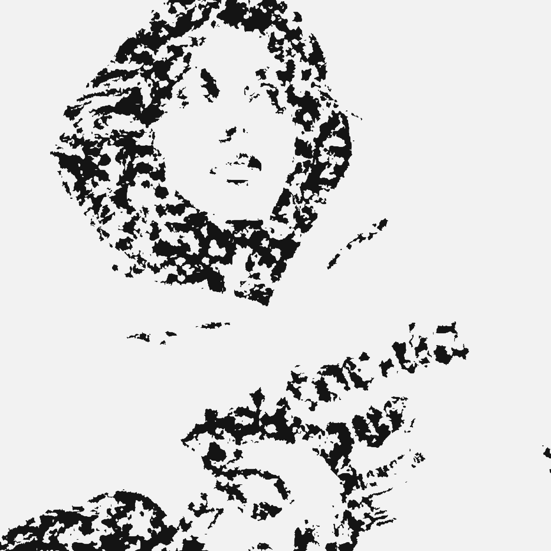 The same photograph eroded into distressed one colour ink